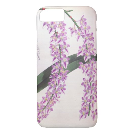 Aerides Lobbii  Lila Lindenia Orchid Case-Mate iPhone Case (Achterkant)