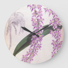 Aerides Lobbii  Lila Lindenia Orchid Grote Klok