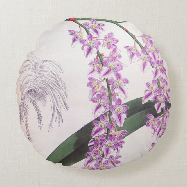 Aerides Lobbii  Lila Lindenia Orchid Rond Kussen (Voorkant)