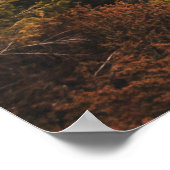 AERIEEL UITZICHT WATERVALLEN POSTER (Hoek)