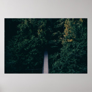 AERIËLE FOTOGRAFIE VAN DE BEHANDELING VAN BRIDGE N POSTER