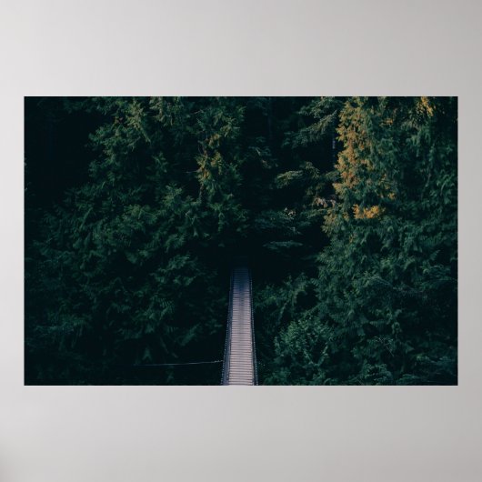 AERIËLE FOTOGRAFIE VAN DE BEHANDELING VAN BRIDGE N POSTER (Voorkant)