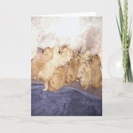 Aero-10 Kaart (Voorkant)