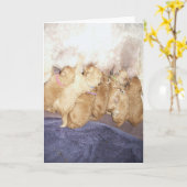 Aero-10 Kaart (Gele Bloem)