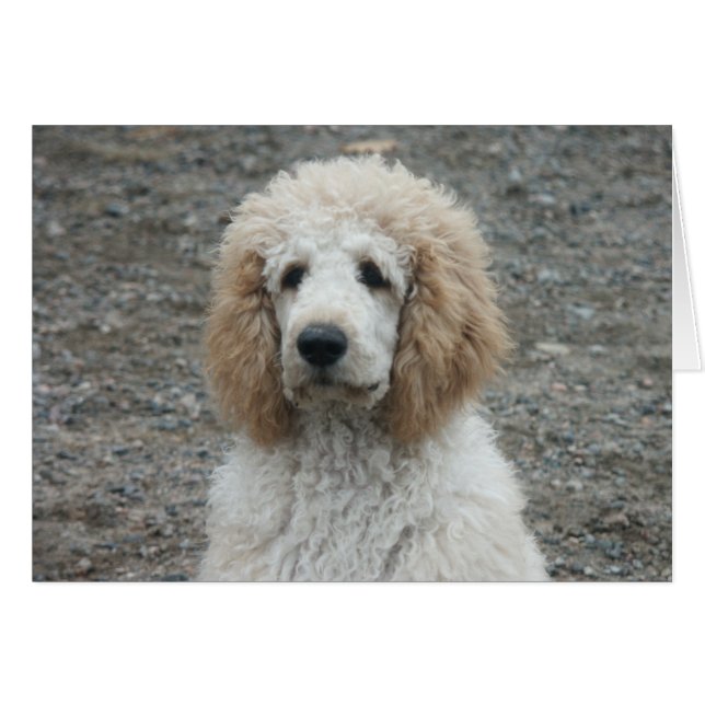 Aero-4 (Voorkant Horizontaal)