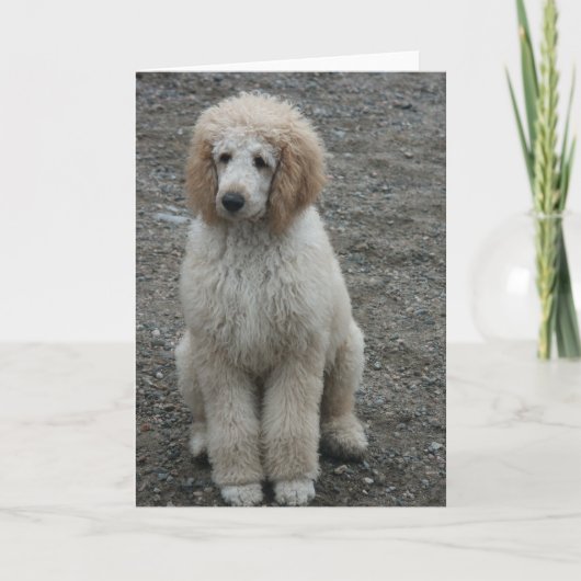 Aero 7 kaart (Voorkant)