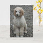 Aero 7 kaart (Gele Bloem)