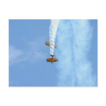 Aerobatische vleugelvliegtuigen