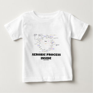 Aerobe processen binnenin (krebs cyclus)