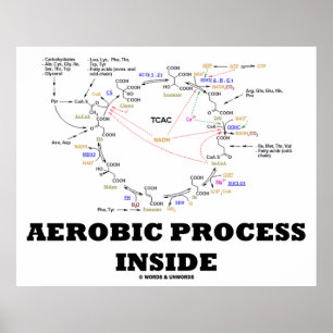 Aerobe processen binnenin (krebs cyclus) poster