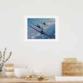 Aërobe vliegtuigen poster (Keuken)