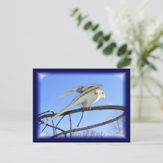 Aerodynamische Briefkaarten (Staand voorkant)