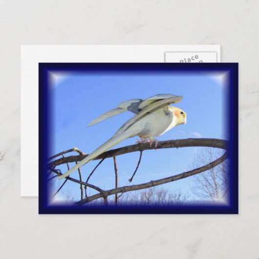 Aerodynamische Briefkaarten (Voorkant / Achterkant)