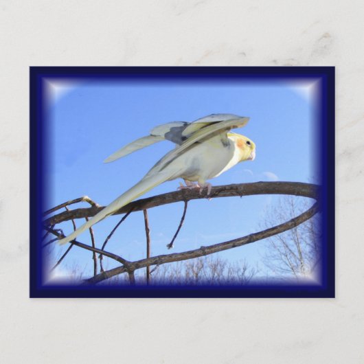 Aerodynamische Briefkaarten (Voorkant)