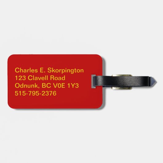 Aeroflot Passenger Ticket Bagagelabel (Achterkant horizontaal)