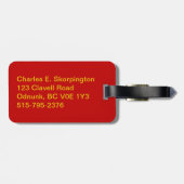 Aeroflot Passenger Ticket Bagagelabel (Achterkant horizontaal)