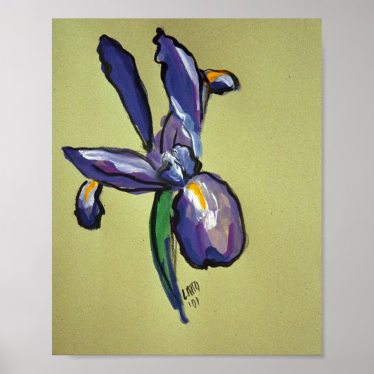 Aeronautical Iris Modern Art Painting Print Poster (Voorkant)