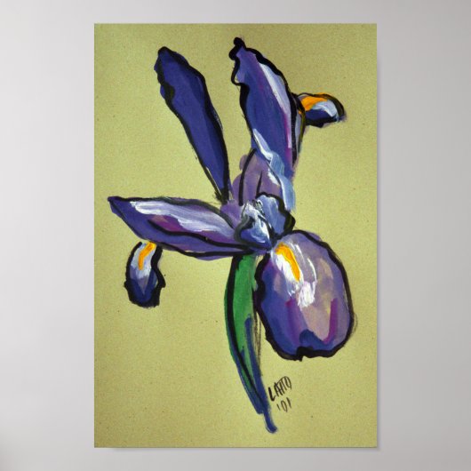 Aeronautical Iris Modern Painting Art Print Poster (Voorkant)