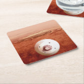 Aeroshell met doorzettingsvermogen Rover daalt naa Kartonnen Onderzetters (Schuin)