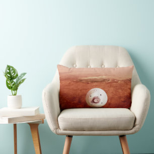 Aeroshell met doorzettingsvermogen Rover daalt naa Kussen