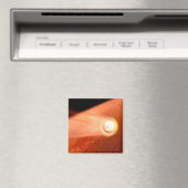 Aeroshell met doorzettingsvermogen Rover daalt naa Magneet (Insitu (Vaatwasser))