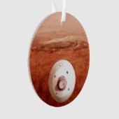 Aeroshell met doorzettingsvermogen Rover daalt naa Ornament (voorkant)