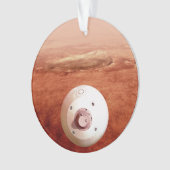 Aeroshell met doorzettingsvermogen Rover daalt naa Ornament (voorkant)