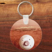 Aeroshell met doorzettingsvermogen Rover daalt naa Sleutelhanger (Voorkant)