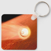 Aeroshell met doorzettingsvermogen Rover daalt naa Sleutelhanger (Achterkant)