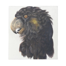 Aert Schouman Bird Head Notitieblok