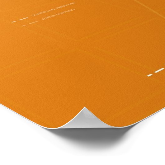 aesiform poster (Hoek)