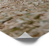 Aesop Gratitude Quote, aap Poster (Hoek)