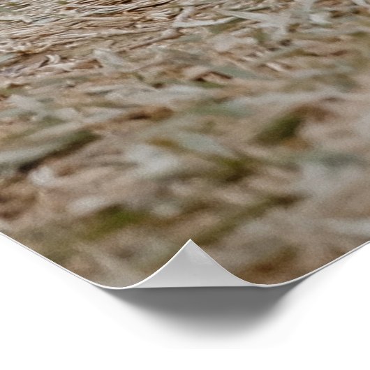 Aesop Gratitude Quote, aap Poster (Hoek)