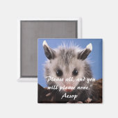 Aesop Quote & Schattige Opossum magneet (Voorkant / Achterkant)