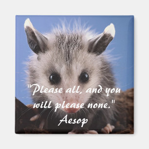 Aesop Quote & Schattige Opossum magneet