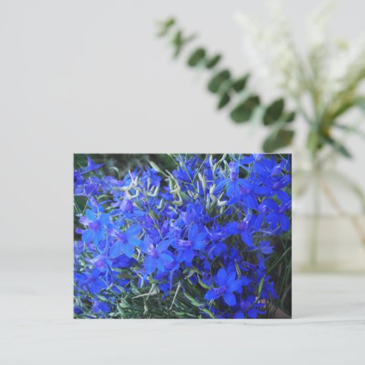 Aesthetisch blauw Lobelia bloomend tapestuin Briefkaart (Staand voorkant)