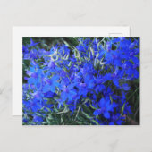 Aesthetisch blauw Lobelia bloomend tapestuin Briefkaart (Voorkant / Achterkant)