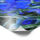 Aesthetisch blauw Lobelia bloomend tapestuin Foto Afdruk (Hoek)