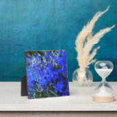 Aesthetisch blauw Lobelia bloomend tapestuin Fotoplaat (Insitu)