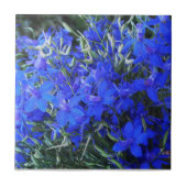 Aesthetisch blauw Lobelia bloomend tapestuin Tegeltje (Voorkant)