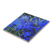 Aesthetisch blauw Lobelia bloomend tapestuin Tegeltje (Zijkant)