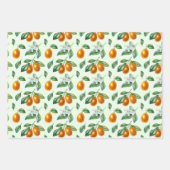 Aesthetisch Sinaasappel Citrus Fruit Food Inpakpapier Vel (Voorkant)