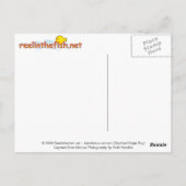 Aetobatus narinari (Spotted Eagle Ray) Briefkaart (Achterkant)