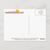 Aetobatus narinari (Spotted Eagle Ray) Briefkaart (Achterkant)