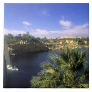 AF, Egypte, Boven-Egypte, Aswan. Nijl, Tegeltje