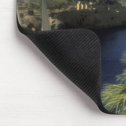 AF, Egypte, Opper-Egypte, Aswan. De Nijl Muismat (Hoek)