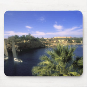 AF, Egypte, Opper-Egypte, Aswan. De Nijl Muismat