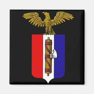 AfA: Alternatief voor Amerika Magneet