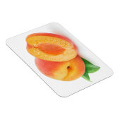 Afabrikozen Magneet (Rechterzijde)