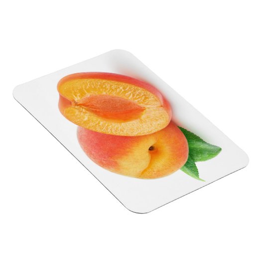 Afabrikozen Magneet (Rechterzijde)